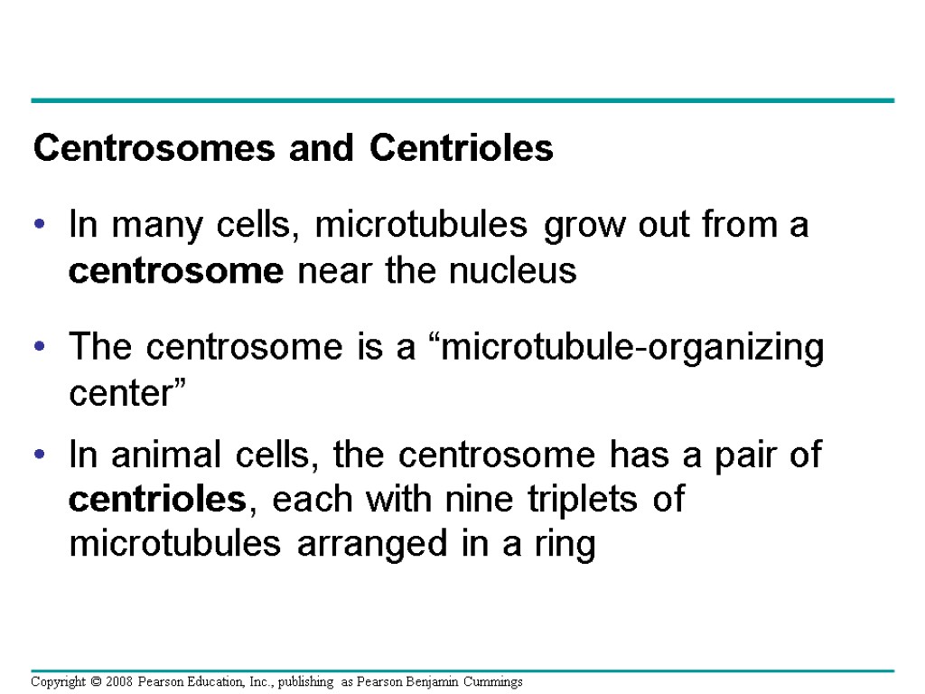 Centrosomes and Centrioles In many cells, microtubules grow out from a centrosome near the